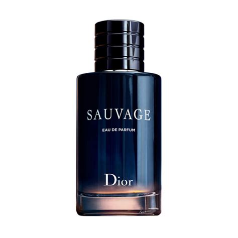 sauvage dior in pakistan|dior perfume in pakistan.